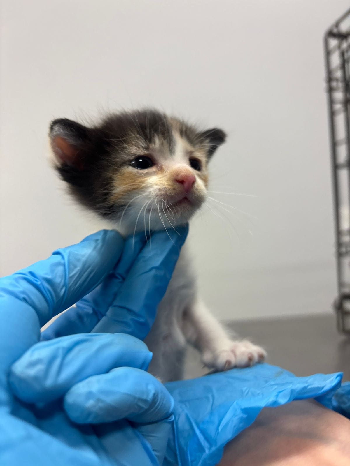 Foto: redes sociales Ismael Burgueño