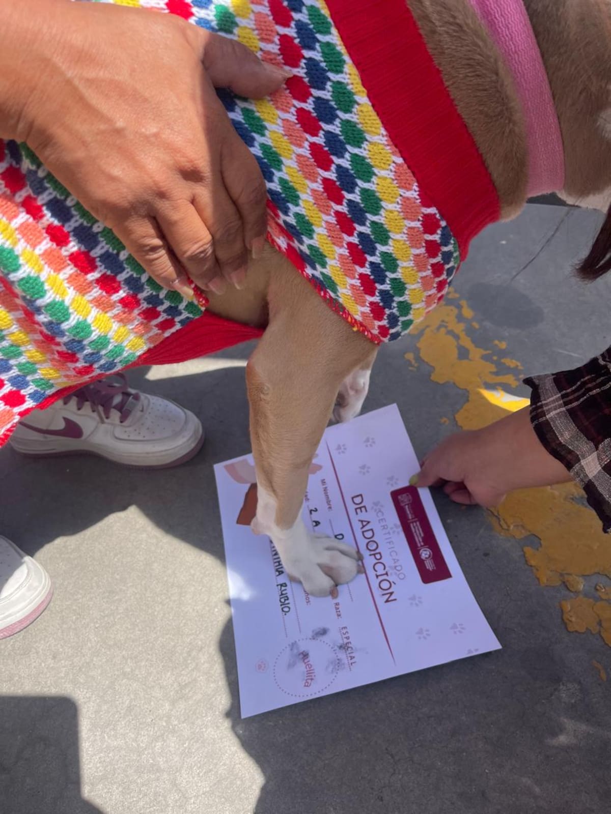 Autoridades de Rosarito impulsaron una feria de adopción y bienestar animal donde anunciaron jornadas gratuitas de esterilización, vacunación y concientización para combatir el abandono de mascotas. Foto: Carmen Gutiérrez