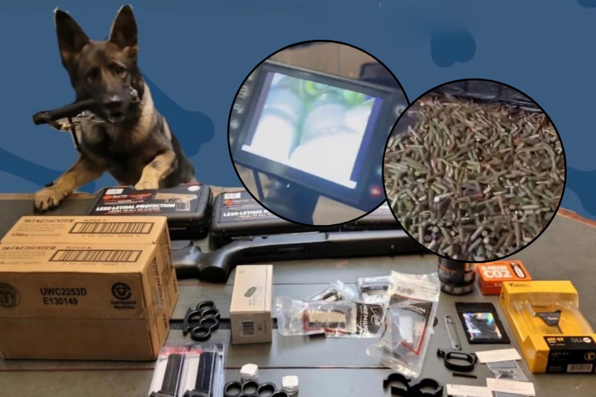 Decomisan 18 mil cartuchos útiles para AK-47 en garita Dennis DeConcini