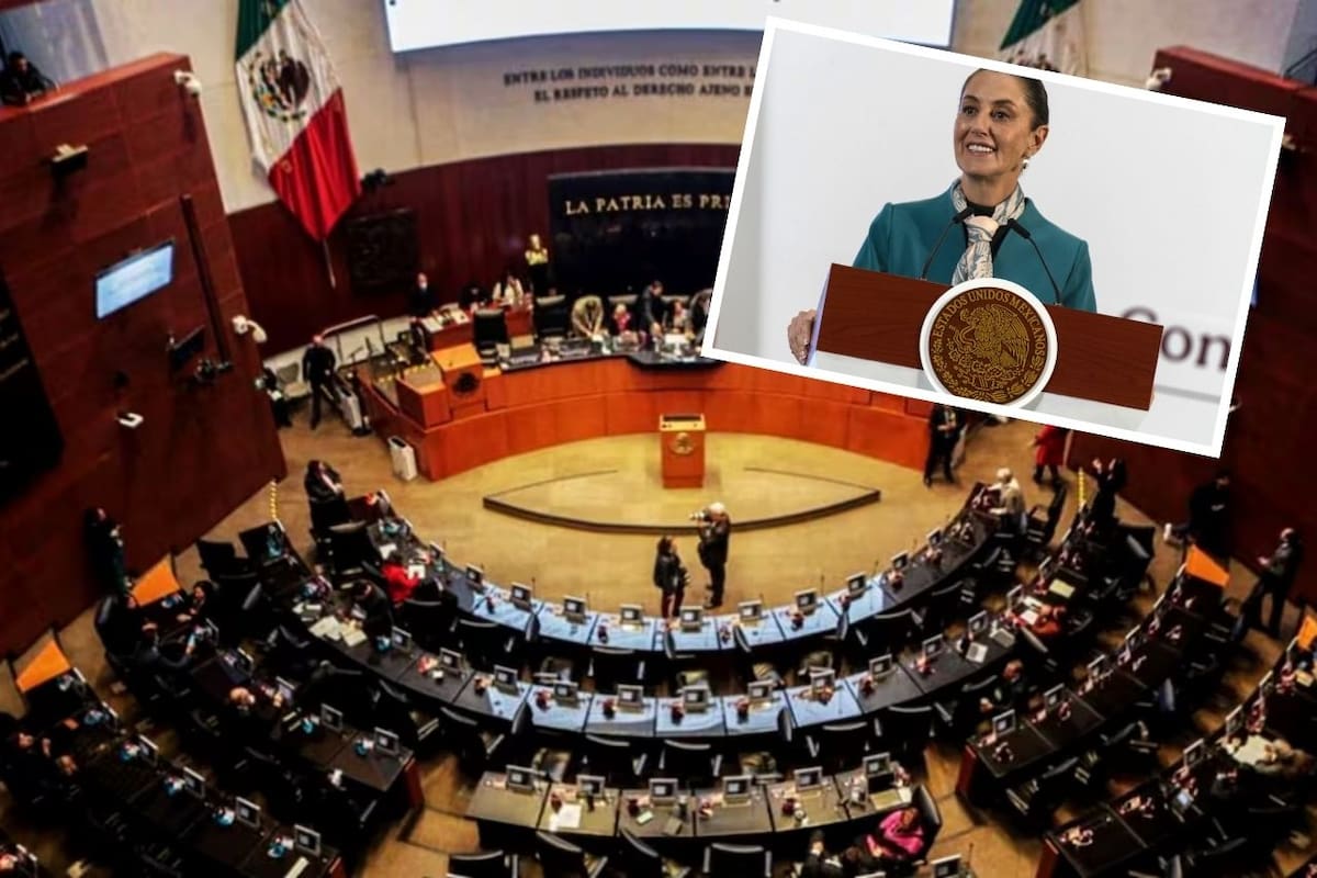 Senado aprueba reforma a la Ley de Amparo (Banco digital GH/Especial)