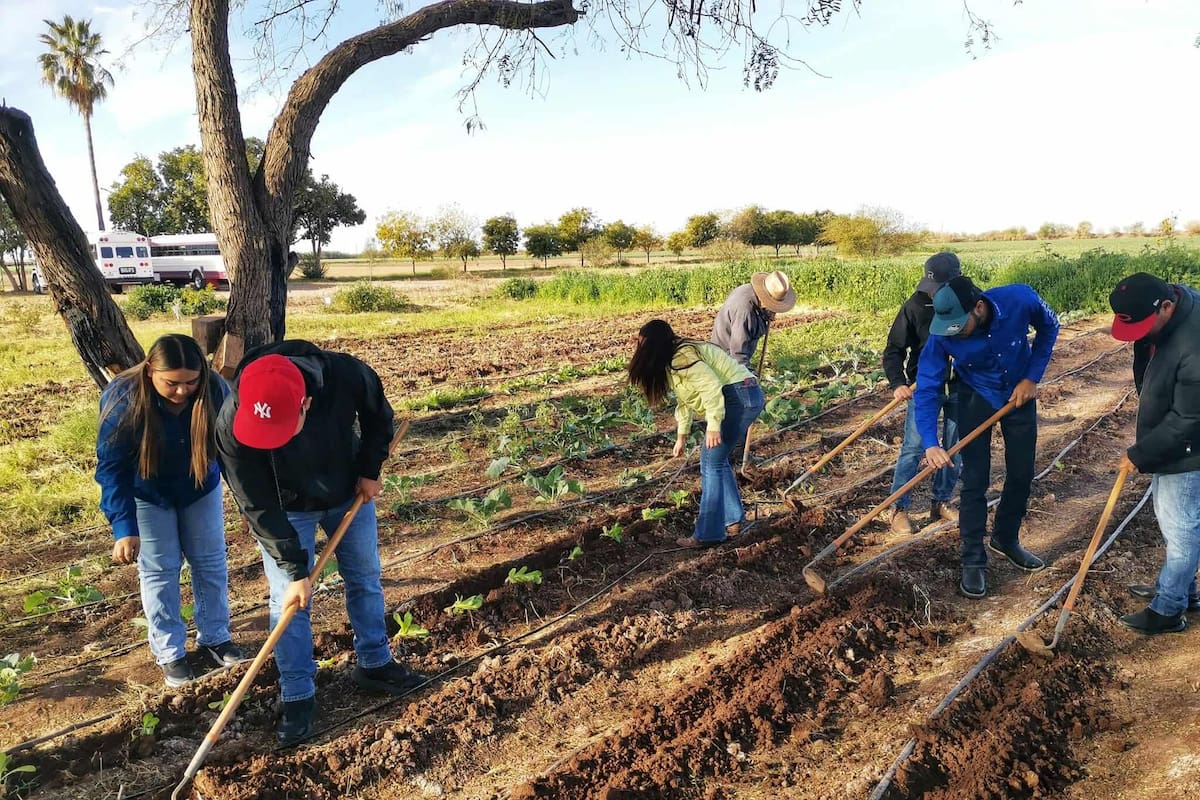 Logran buenos resultados con Escuelas Agroecológicas