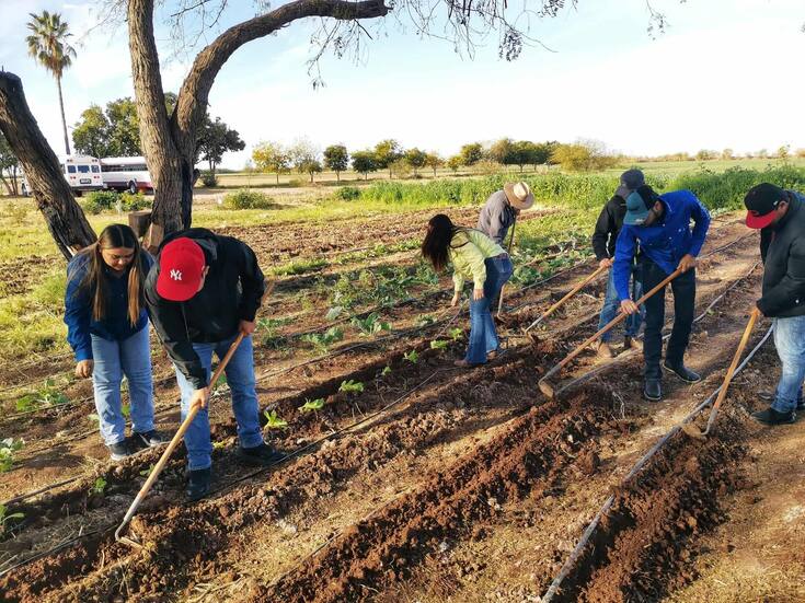 Logran buenos resultados con Escuelas Agroecológicas