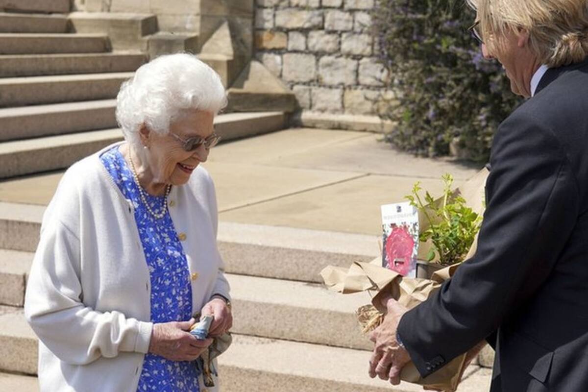 La nueva rosa creada para recordar al príncipe Felipe en el que hubiera sido su 100 cumpleaños
