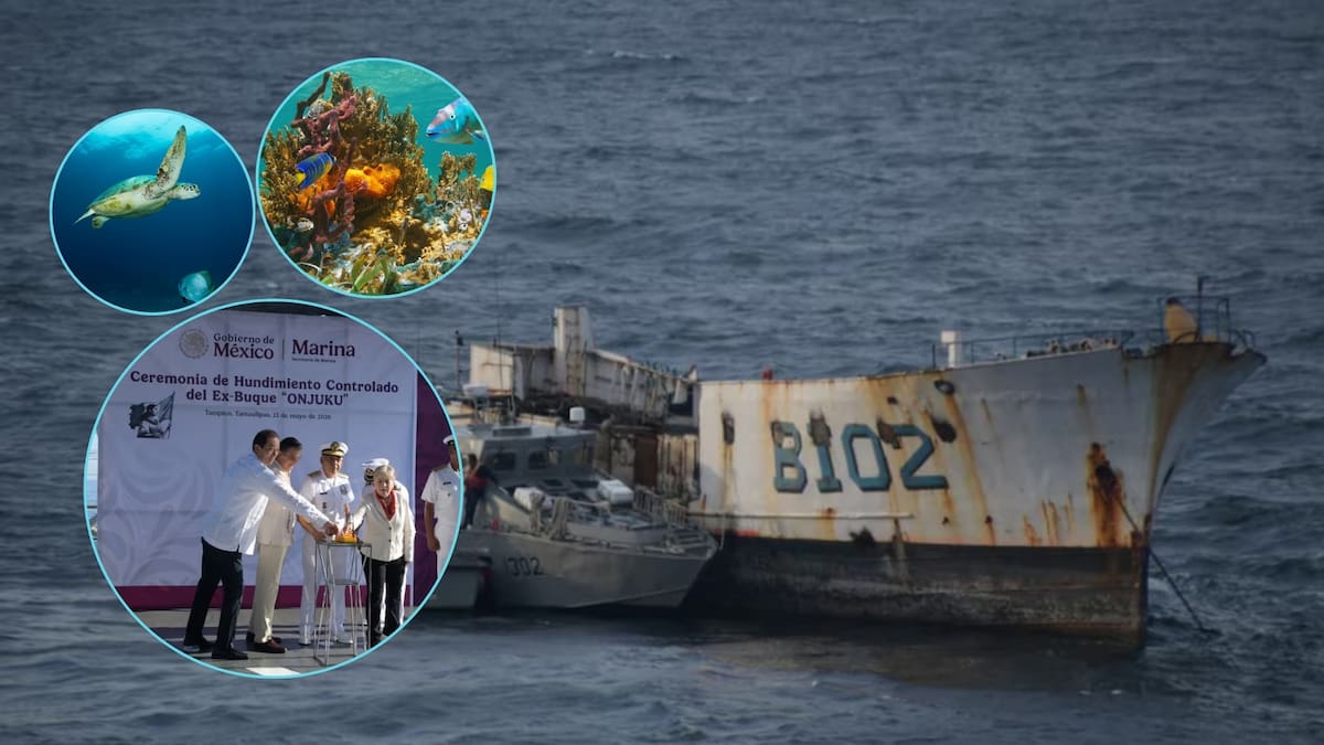 La Marina usó explosivos para sumergir el histórico buque Onjuku frente a Tamaulipas y transformarlo en un inmenso refugio de acero que ahora servirá como el corazón de un arrecife artificial diseñado para salvar la biodiversidad del Golfo y reactivar la pesca en la región