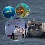 La Marina usó explosivos para sumergir el histórico buque Onjuku frente a Tamaulipas y transformarlo en un inmenso refugio de acero que ahora servirá como el corazón de un arrecife artificial diseñado para salvar la biodiversidad del Golfo y reactivar la pesca en la región