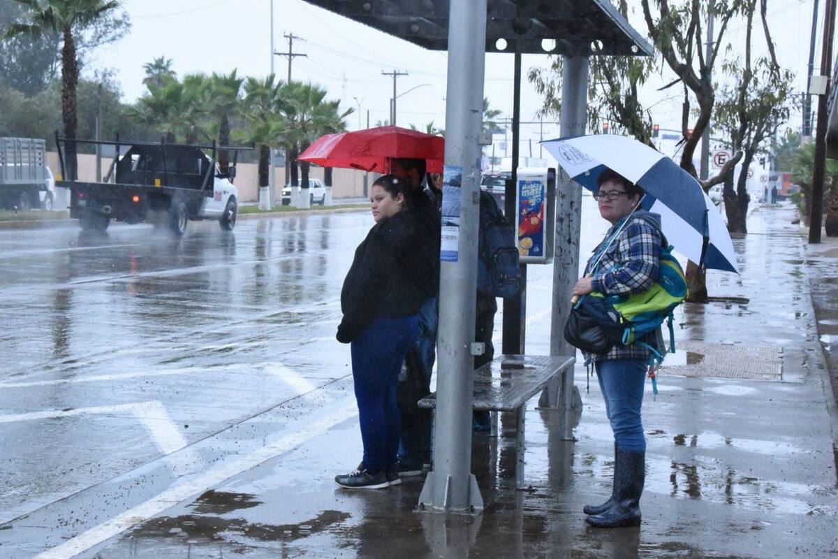 Clima Ensenada: Protección Civil prevé frío, viento, lluvias y nevadas