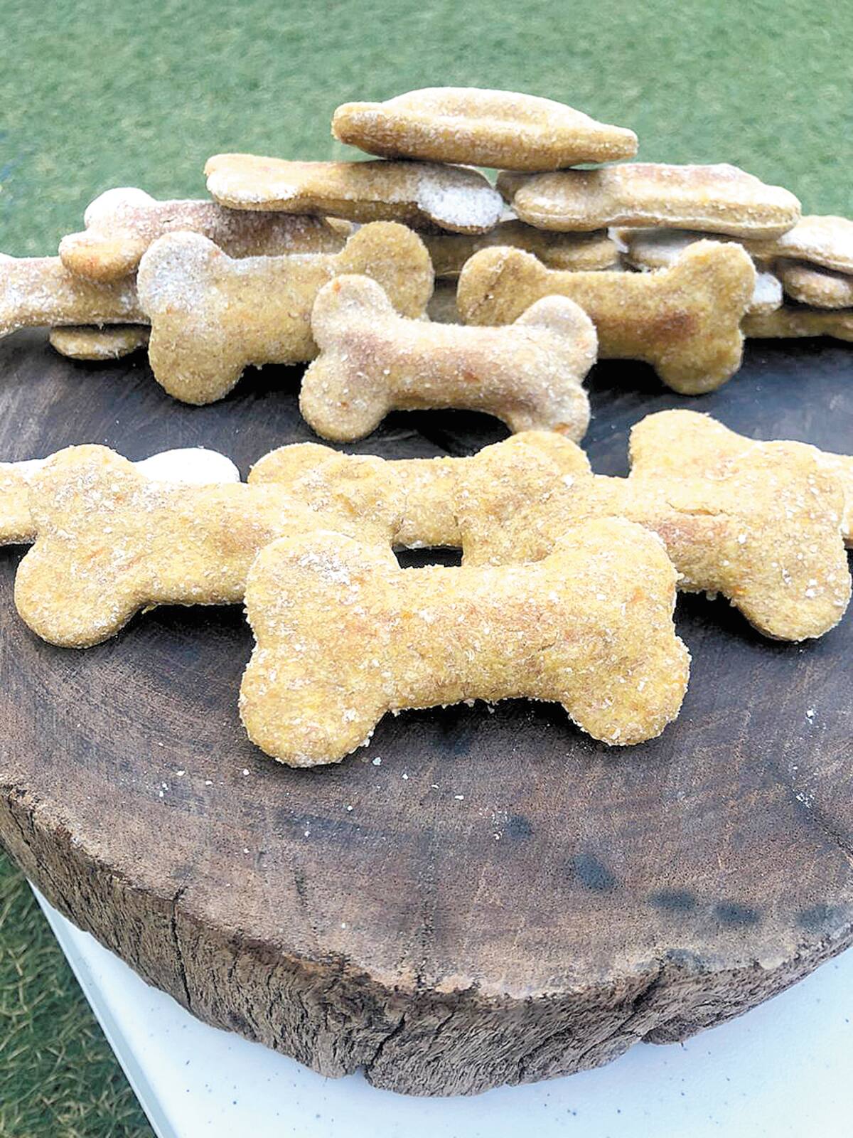 Vende postres "caninos" por una buena causa.
4B