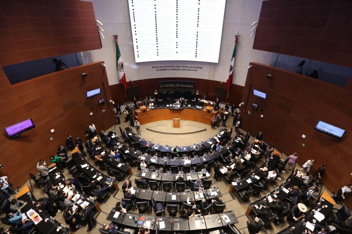 Aprueban Ley de Amnistía sin cambios; va al Ejecutivo para publicarse en DOF