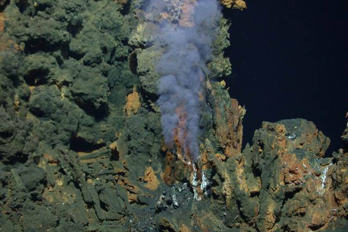 Buscan científicos de la UNAM en ventilas hidrotermales de Guaymas el origen de la vida