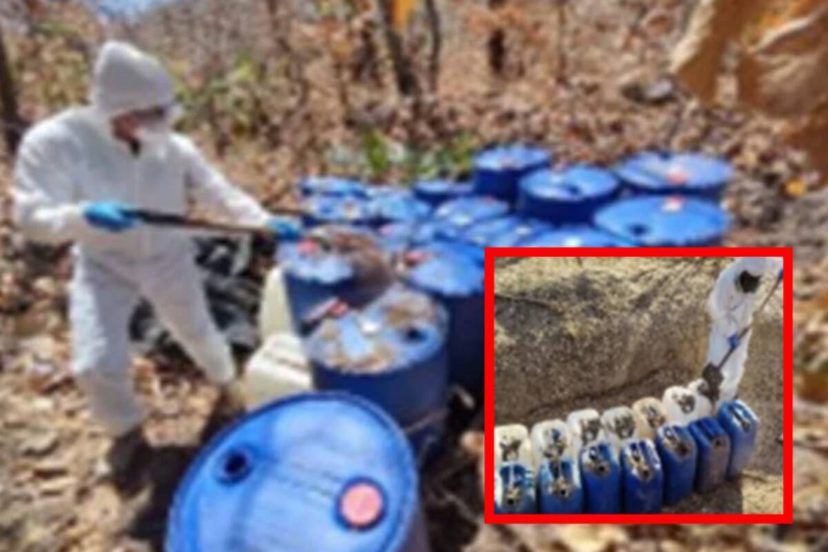 Aseguran 11 laboratorios clandestinos en Culiacán y Cosalá