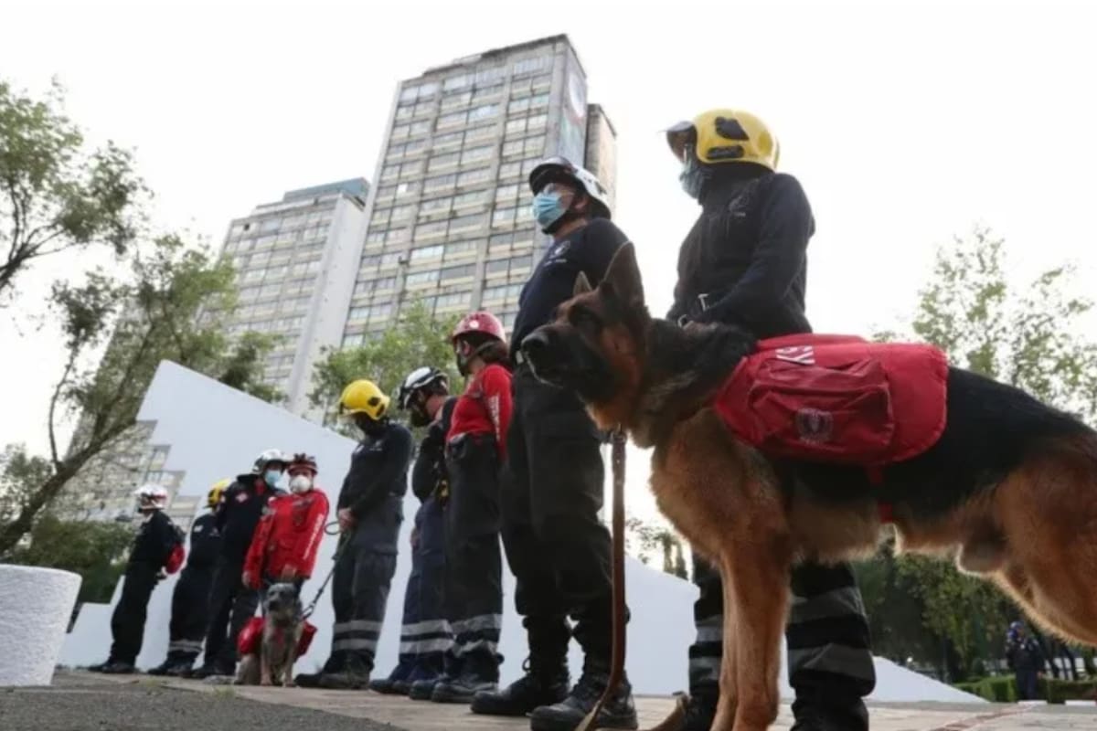 Suspenden primer simulacro de sismo de este 2022 en la CDMX