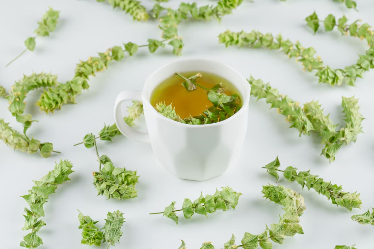 Te de ginkgo biloba | Foto: Freepik