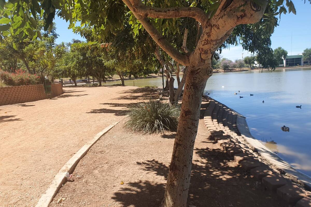 Baja movimiento en Laguna del Náinari