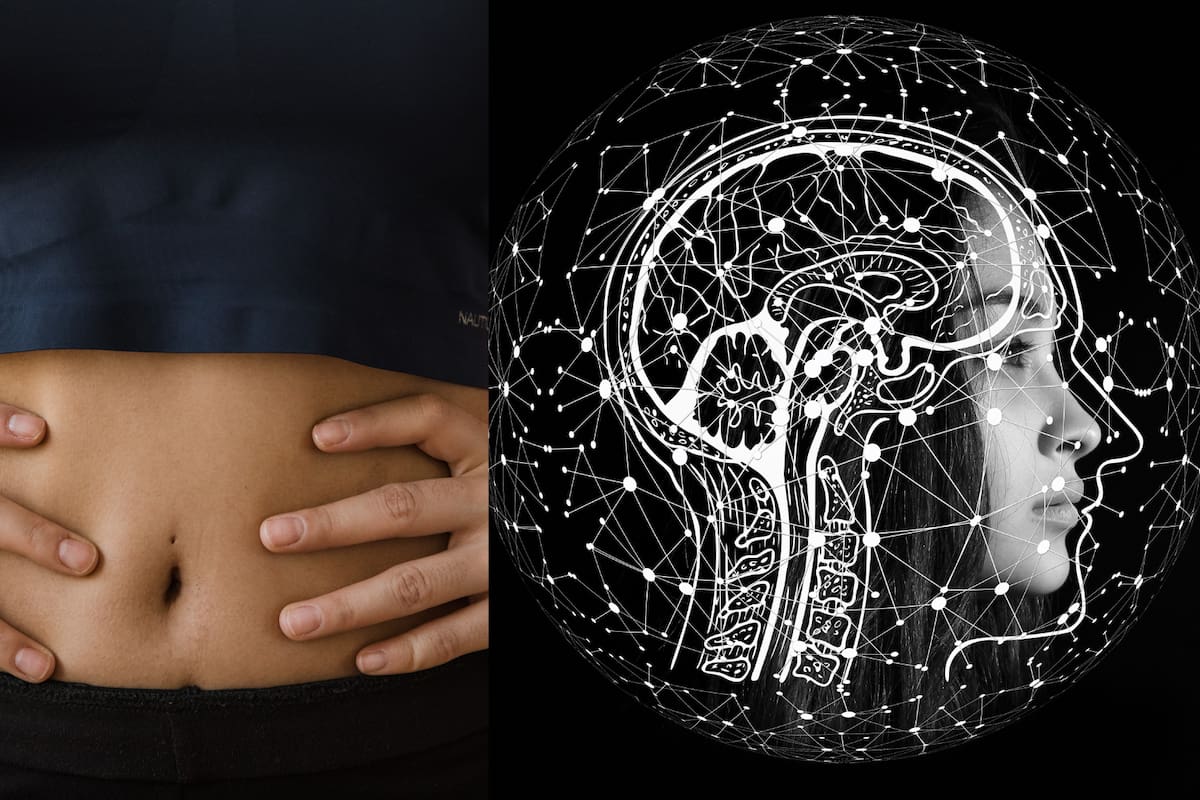 Conexión entre el estómago y el cerebro: un vínculo que revela pistas sobre la salud mental