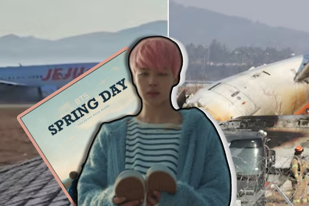 ¿Por qué relacionan Spring Day de BTS con el accidente de avión en Corea del Sur?