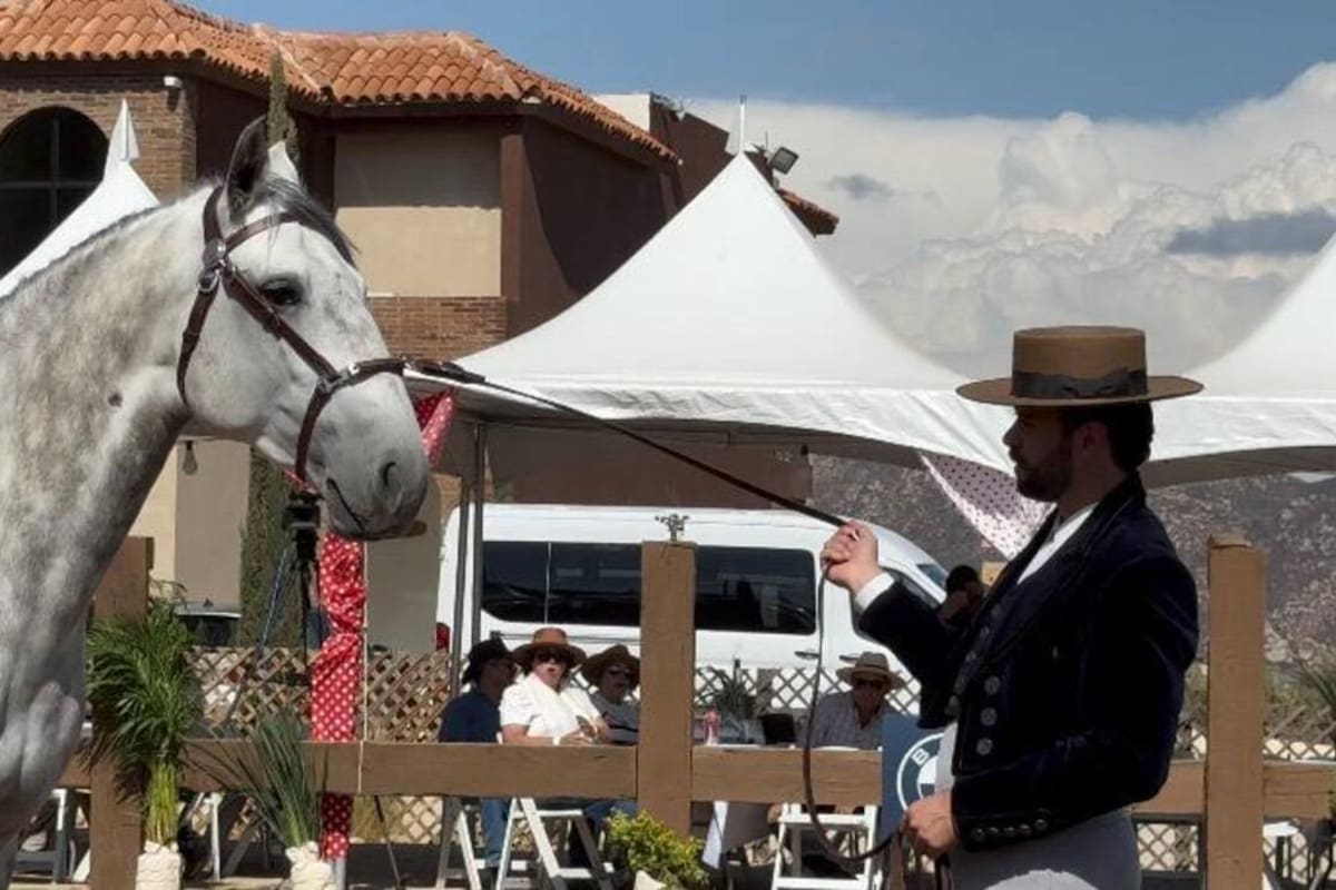 Feria del Caballo en Valle de Guadalupe: fecha, horarios y boletos