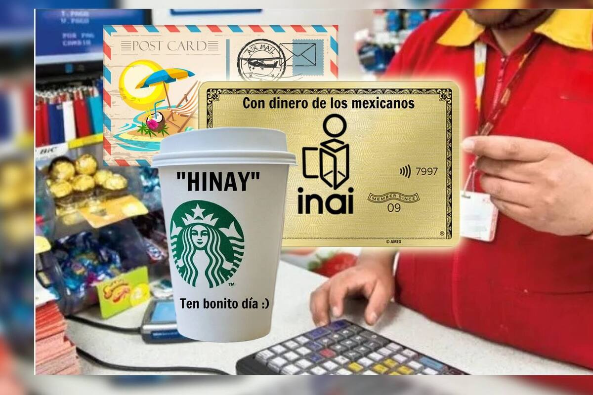 INAI: De idas a Oxxo hasta París, pagaban con dinero de los mexicanos, señala García Vilchis