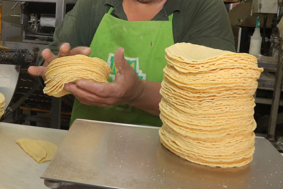 Tortilla alcanza 35 pesos en Hermosillo y podría subir otros 4 pesos