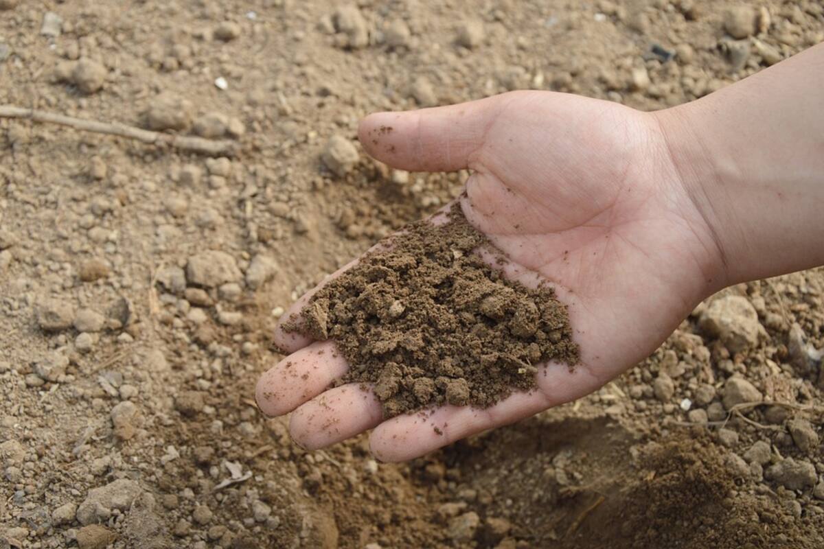 Interceptan camión con 10 toneladas de fertilizante en Chiapas