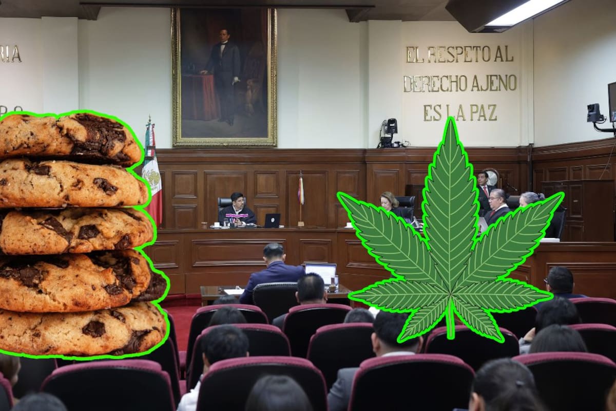 Es oficial: La SCJN avala preparar cannabis y THC en alimentos para autoconsumo personal y mantiene prohibidas la venta, distribución, suministro a terceros y el uso en medicamentos, suplementos, cosméticos, vapeadores y otros productos sujetos a controles sanitarios especiales