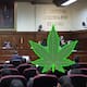 SCJN avala cannabis en alimentos para autoconsumo