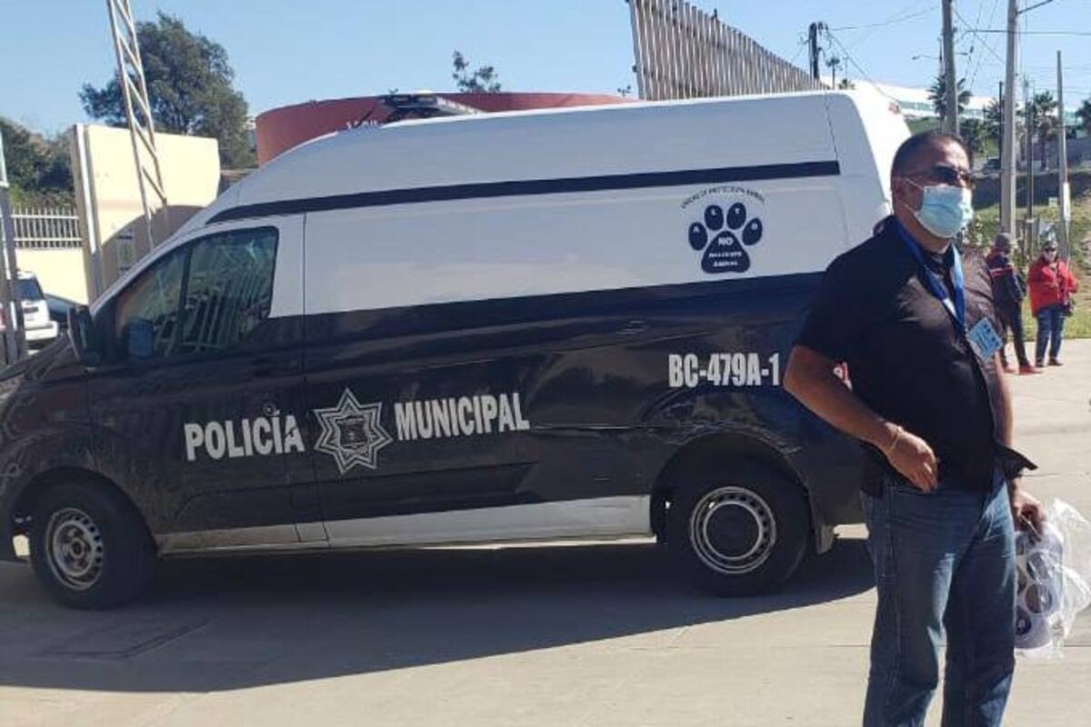 Casa Ccolitas logra habilitar unidad de Policía Municipal para atención a maltrato animal en Rosarito