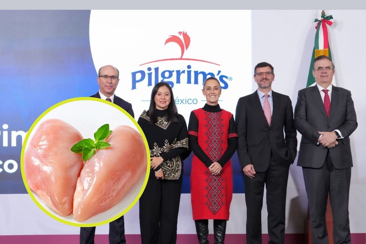 México producirá más pollo y dependerá menos del extranjero: la empresa Pilgrim’s invertirá 1,300 millones de dólares hasta llegar al 2030 para modernizar plantas, abrir nuevos centros y generar 4,000 empleos