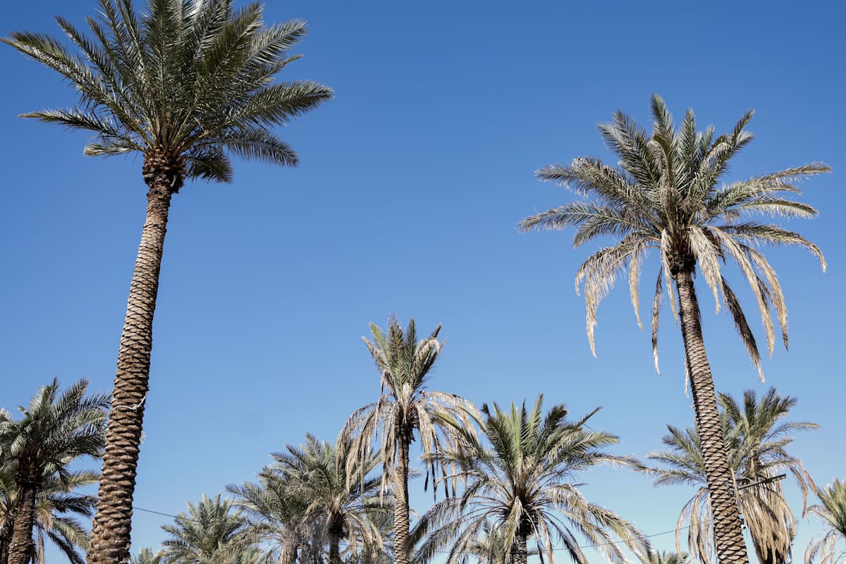 Calor cede esta semana en SLRC