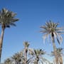 Calor cede esta semana en SLRC