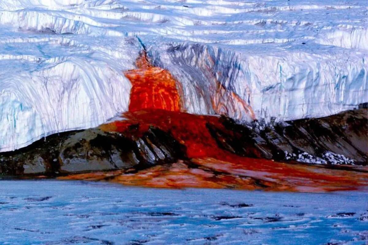 Los datos más aterradores sobre la Antártida