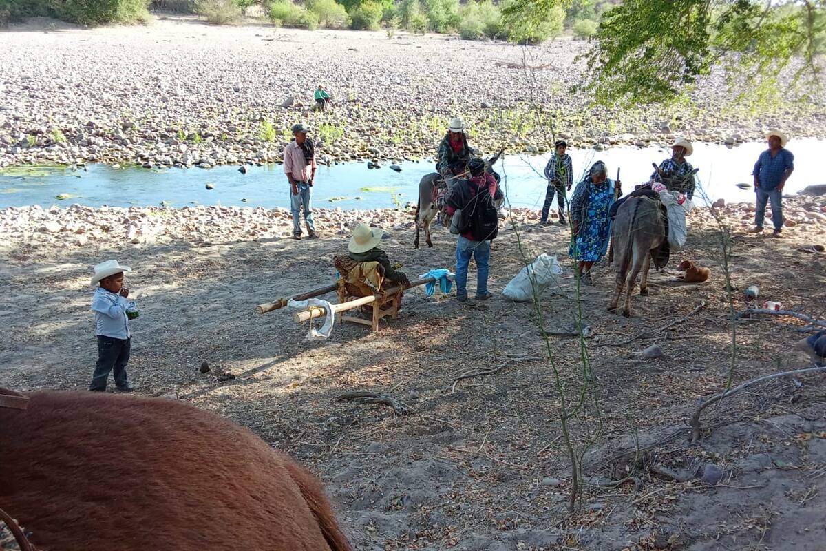 Jóvenes salvan a anciana en la Sierra de Álamos