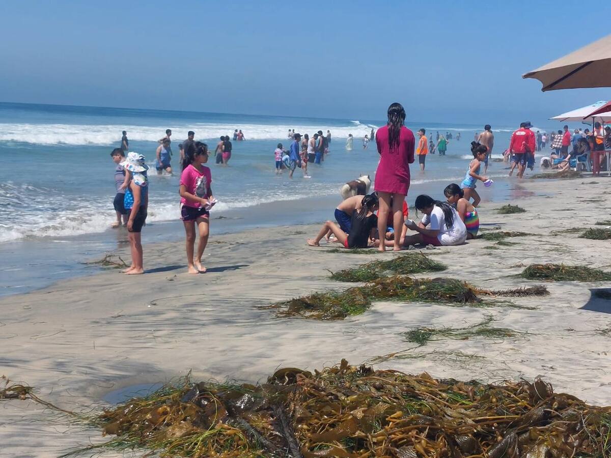 Foto: Carmen Gutiérrez