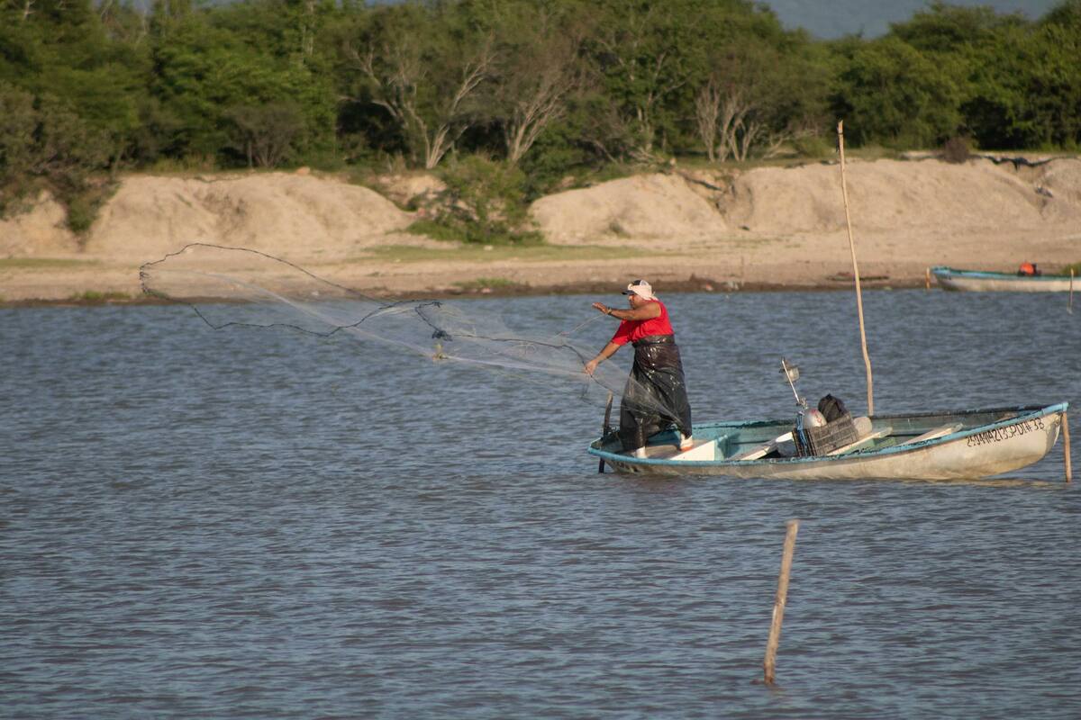 Conapesca decomisa más de 500 mil kilos de producto marino ilegal