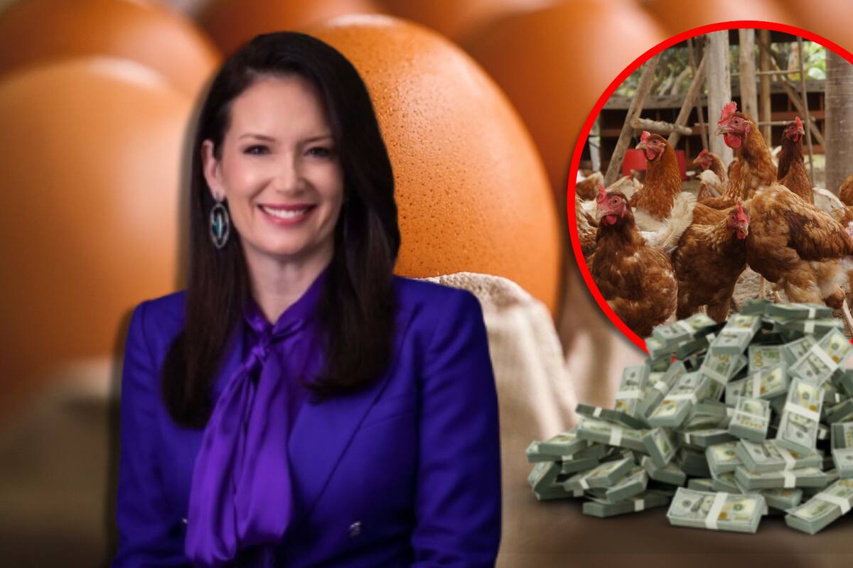 Estados Unidos busca frenar la gripe aviar invirtiendo 1,000 millones de dólares y aplicando medidas para estabilizar el mercado de huevos