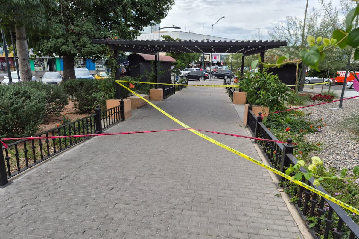 Dos trabajadores son atacados por abejas mientras realizan mantenimiento en el Jardín Juárez