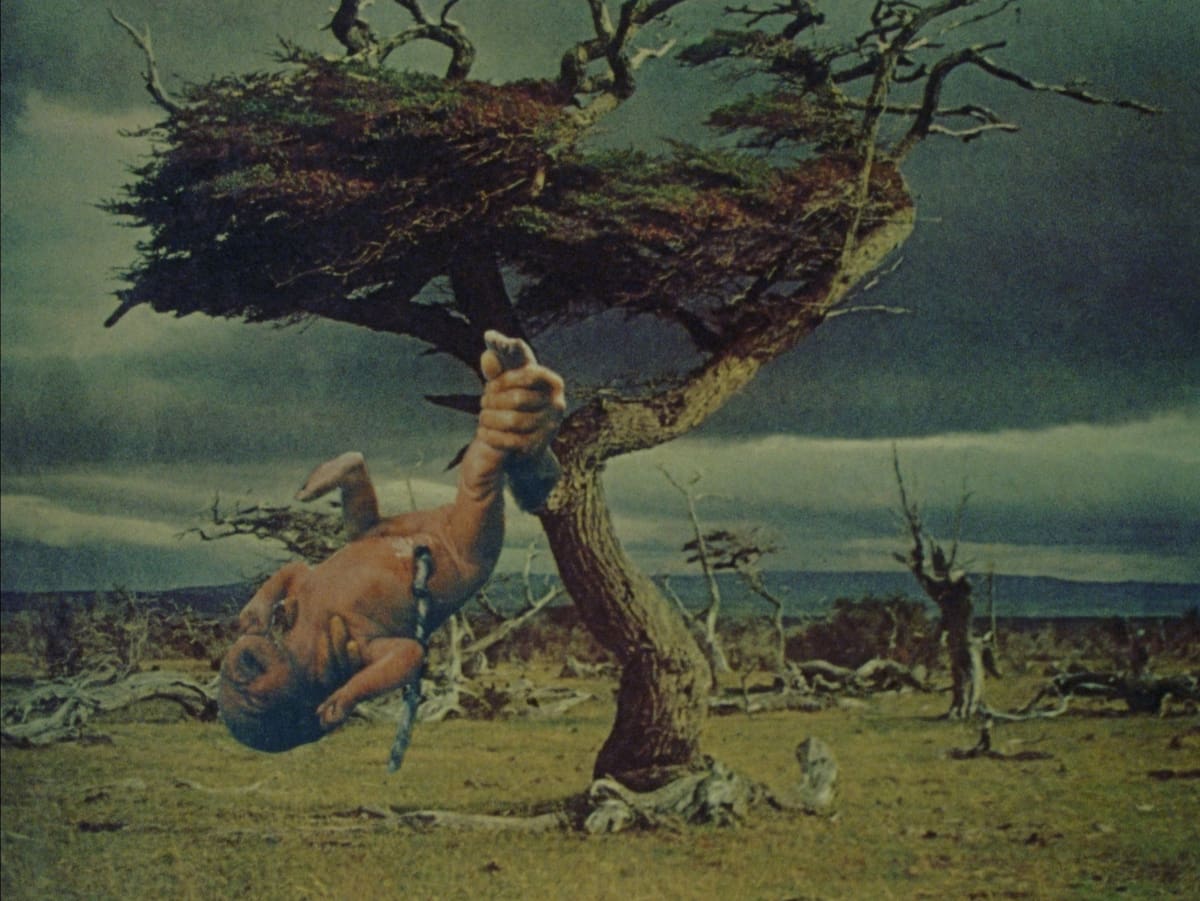 “Memoria de un cuerpo desplazado” es un ensayo fílmico realizado en técnica de collage análogo en stop motion. | Foto: cortesía
