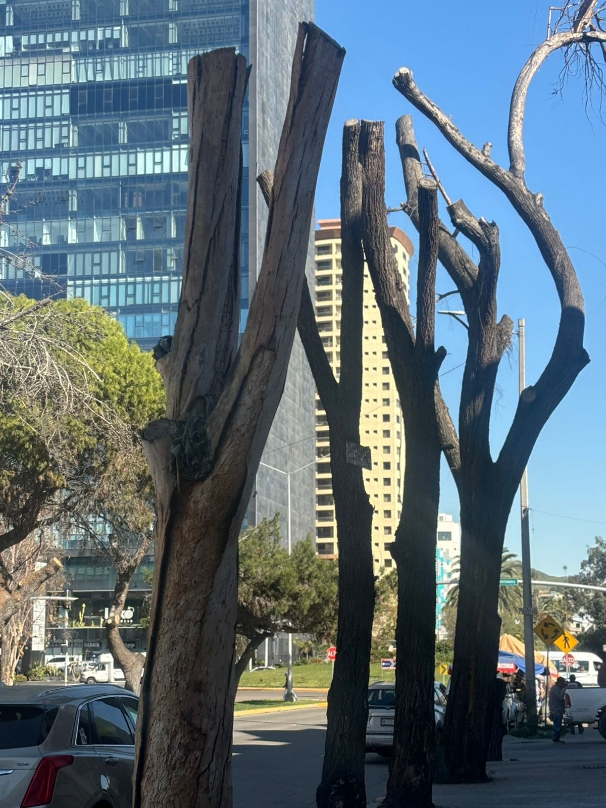 Foto: Lorena Salinas