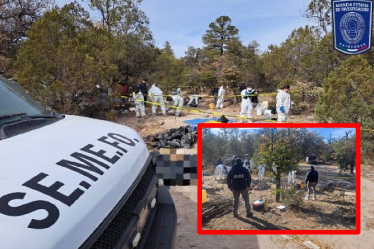 Hallan 56 cadáveres en fosas clandestinas en Chihuahua: la crisis de desapariciones en México se intensifica