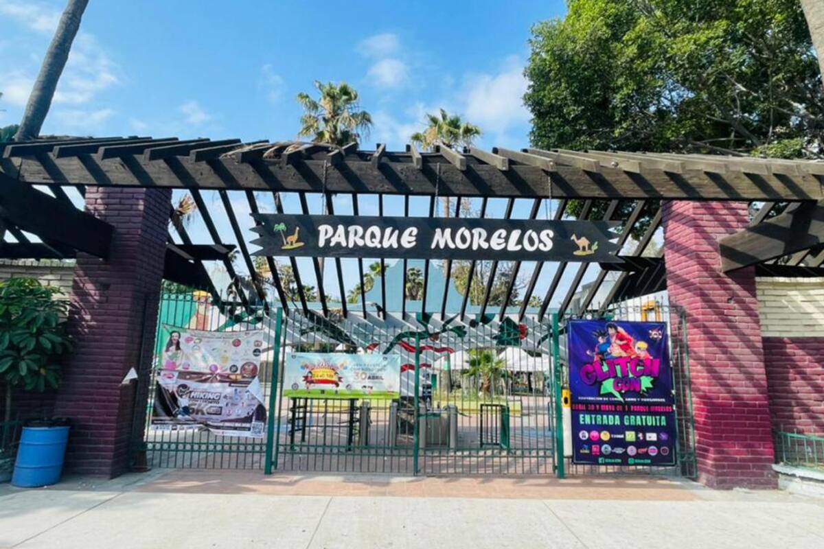 Cerrará Parque Morelos de forma temporal por brote de gripe aviar