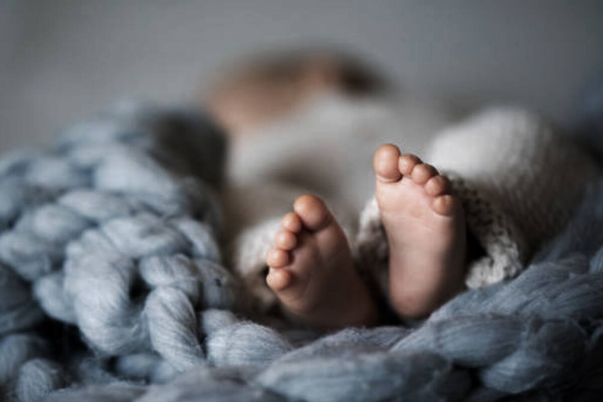 Perro desentierra cadáver de bebé en patio de una casa en Sinaloa