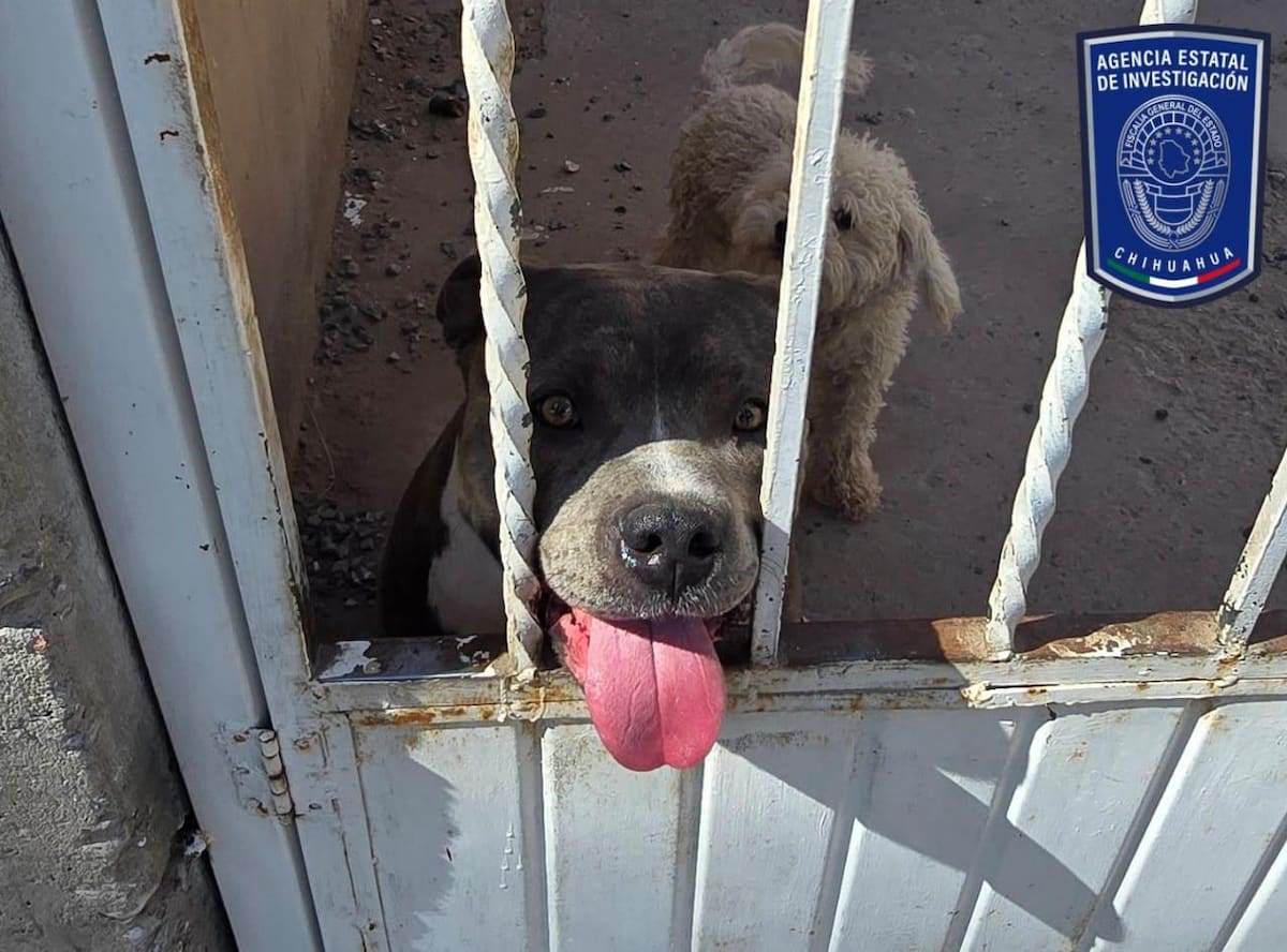 Foto: Fiscalía de Chihuahua.