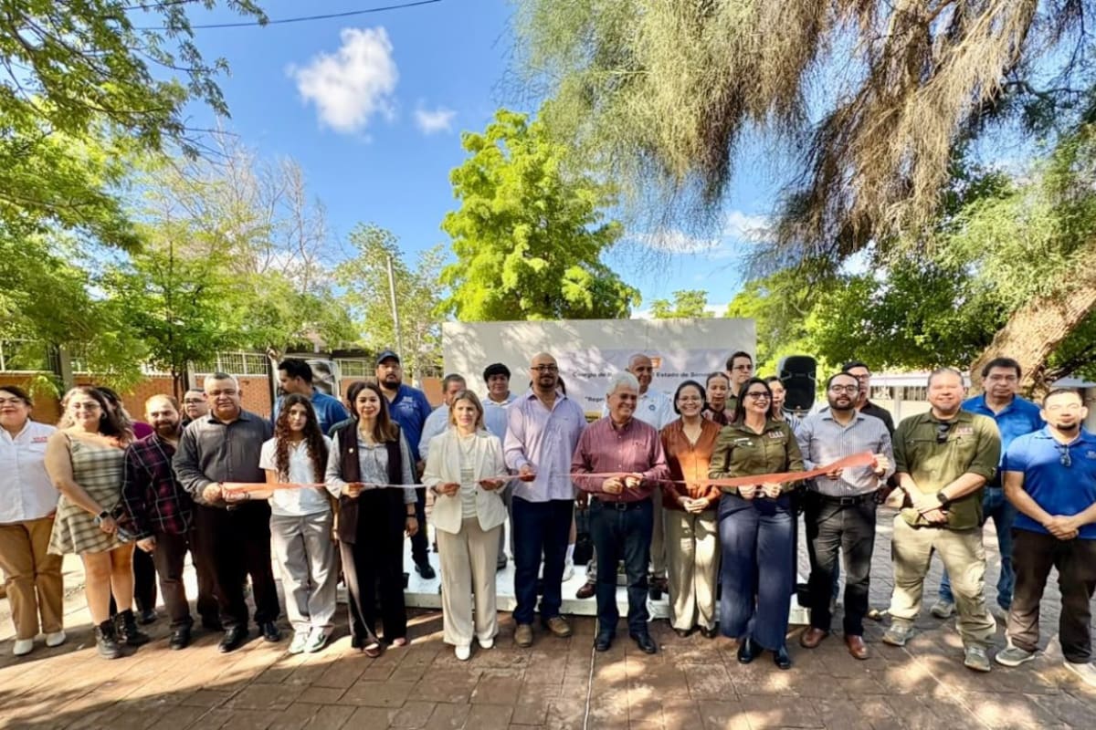 Mezquite, palo fierro y guayacán: estudiantes de Cobach Sonora producirán plantas nativas en ocho viveros