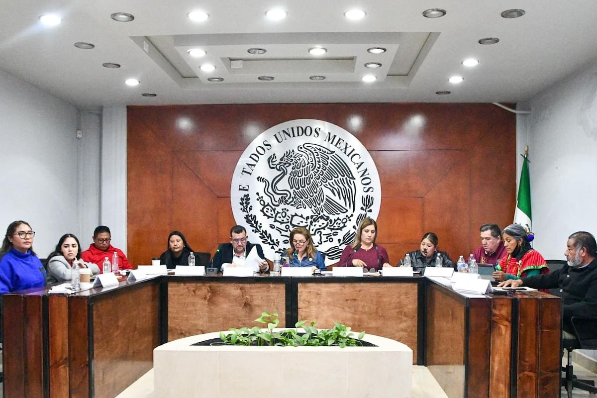 Aprueban seis permisos de alcoholes en san Quintín