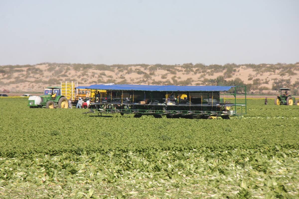 Envejece fuerza agricultora de BC