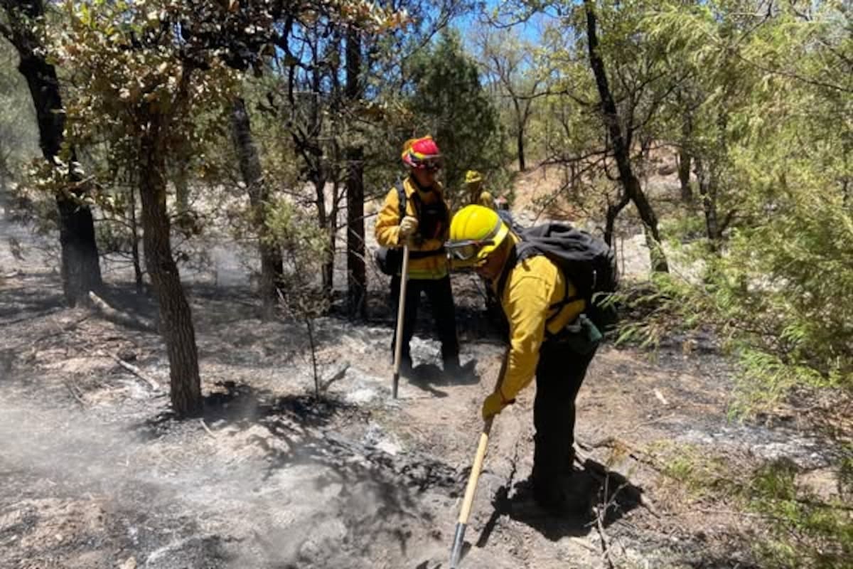 ¿Puedes apoyar? Incendio en Arizpe afecta varios ranchos y brigadistas necesitan ayuda