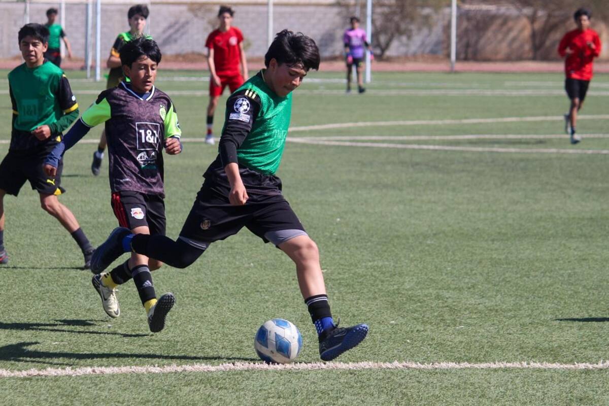 Realizan con éxito tryouts en San Quintín