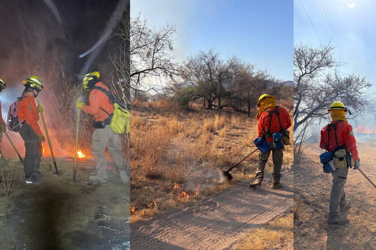 Autoridades combaten 3 incendios forestales activos en Sonora