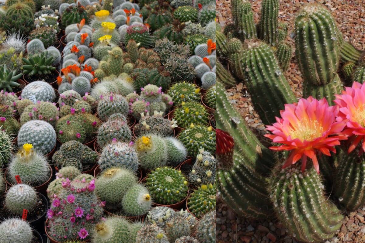 Efemérides del 10 de octubre: ¿Qué pasó un día como hoy?