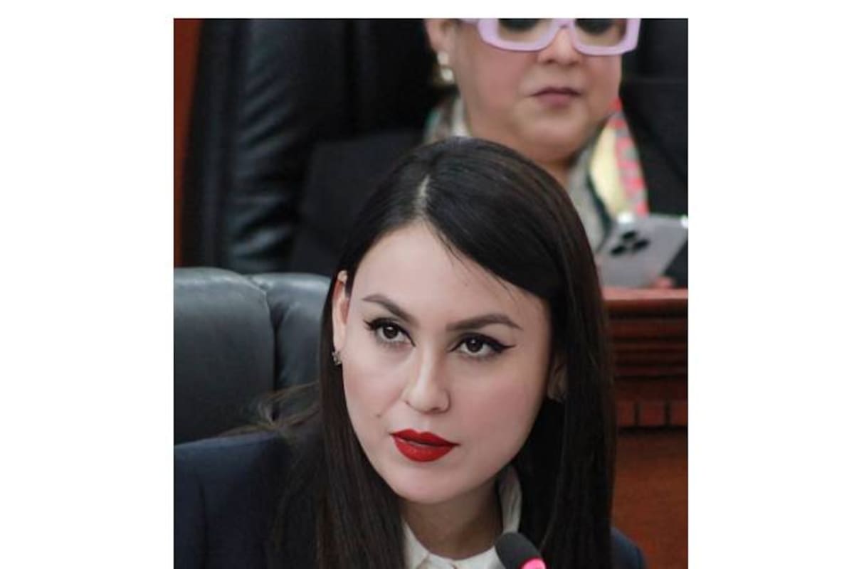 Impulsa diputada Yohana Gilvaja la creación de la policía cibernética