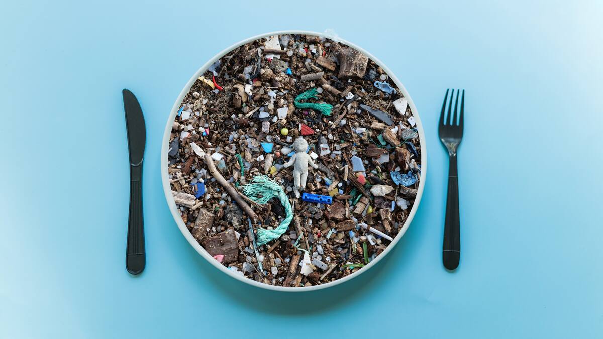 Aunque los resultados no se han confirmado en humanos, los hallazgos generan preocupación sobre los posibles efectos de estas diminutas partículas en la salud/Foto: Canva